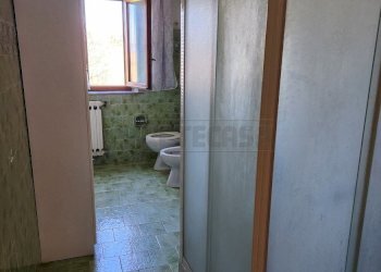 20250305_115950.jpg - Terratetto - Terracielo Via Pelosa 11, Santa Maria a Monte - foto 16