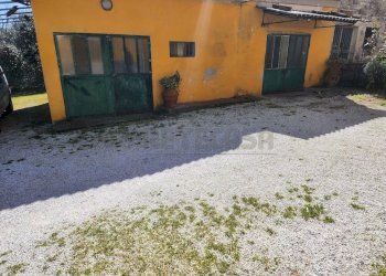 20250305_115601.jpg - Terratetto - Terracielo Via Pelosa 11, Santa Maria a Monte - foto 19