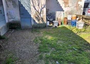 20250305_115707.jpg - Terratetto - Terracielo Via Pelosa 11, Santa Maria a Monte - foto 21