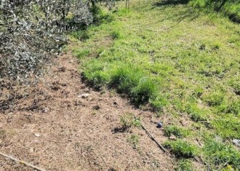 20250305_115651.jpg - Terratetto - Terracielo Via Pelosa 11, Santa Maria a Monte - foto 23