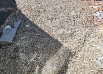 20250206_120504.jpg - Villa a Schiera Via T. Banchini 32, Castelfranco di Sotto - foto 17