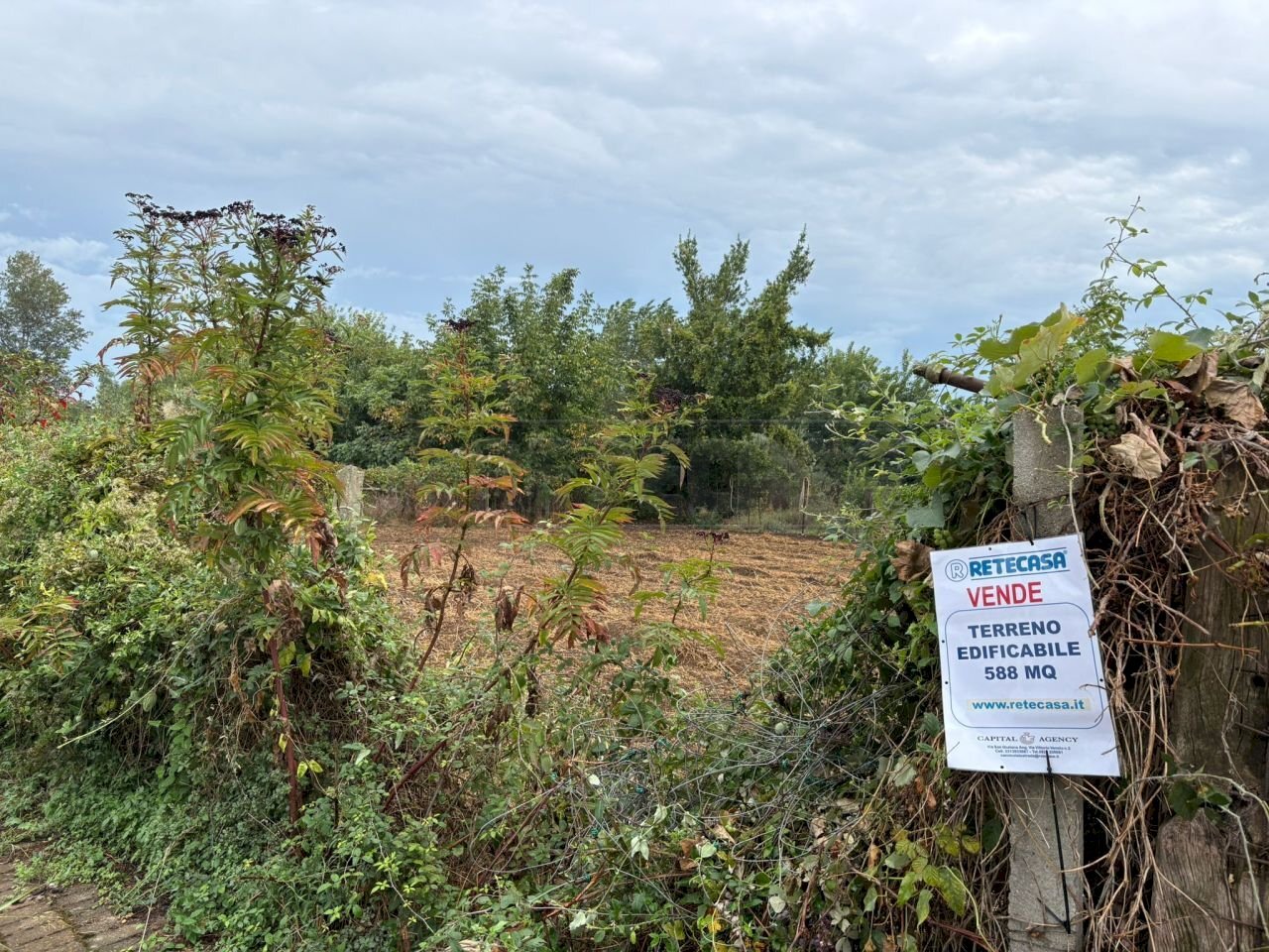 Immagine WhatsApp 2025-09-23 ore 11.54.15_36c0e679 - Building land Via Norcia, Marcianise - photo 1