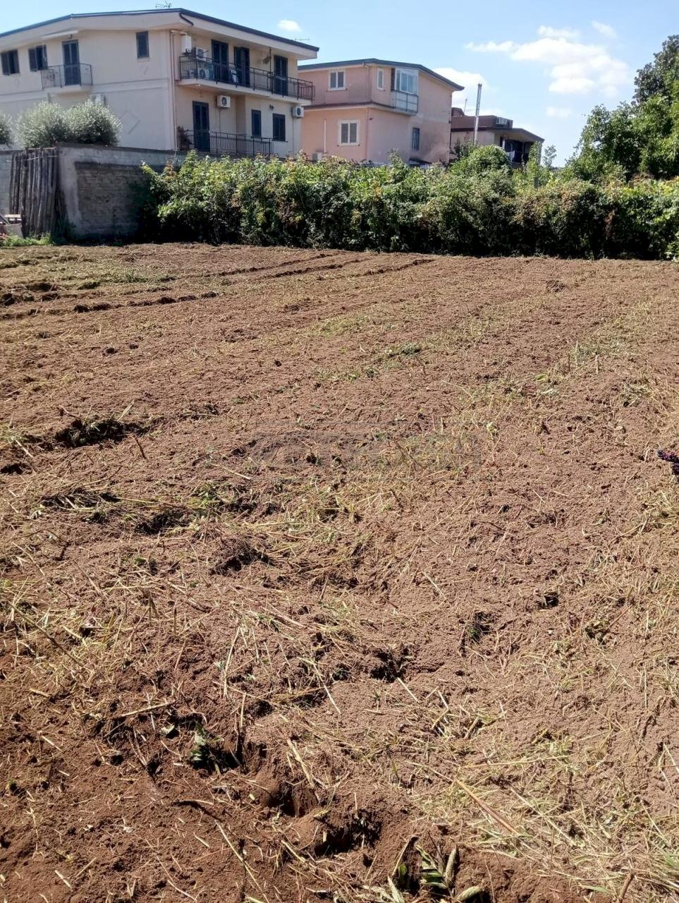 Immagine WhatsApp 2025-09-18 ore 10.12.42_28e7f3c2 - Building land Via Norcia, Marcianise - photo 2