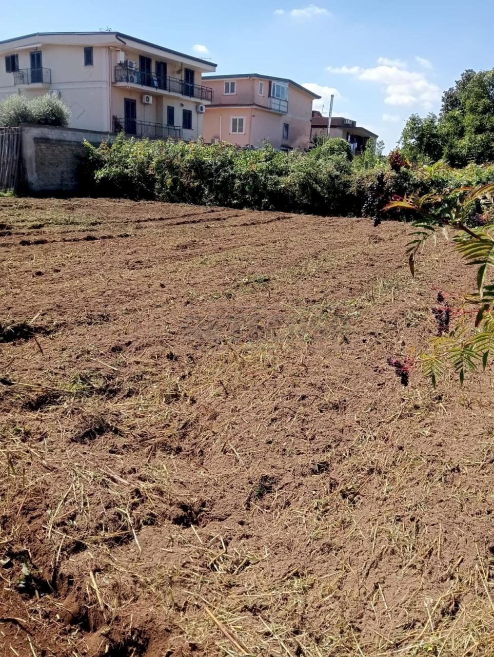 Immagine WhatsApp 2025-09-18 ore 10.12.42_70ff3610 - Building land Via Norcia, Marcianise - photo 3