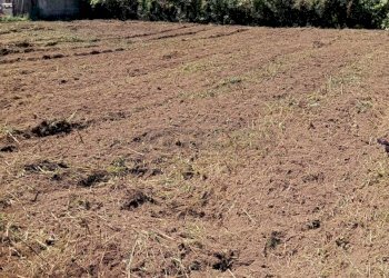 Immagine WhatsApp 2025-09-18 ore 10.12.42_28e7f3c2 - Terreno edificabile Via Norcia, Marcianise - foto 2