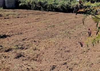 Immagine WhatsApp 2025-09-18 ore 10.12.42_70ff3610 - Terreno edificabile Via Norcia, Marcianise - foto 3