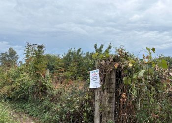 Immagine WhatsApp 2025-09-23 ore 11.54.14_9c45cdda - Terreno edificabile Via Norcia, Marcianise - foto 5