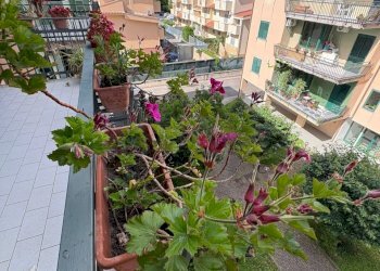 IMG-20250603-WA0015.jpg - Appartamento Via de Sanctis, Marcianise - foto 17