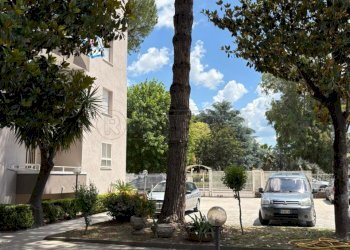 IMG-20250529-WA0004.jpg - Appartamento Via Eugenio Montale, Marcianise - foto 20