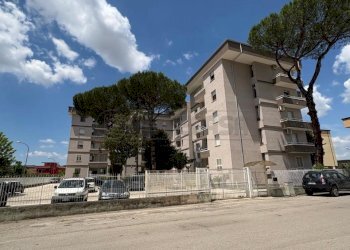 IMG-20250529-WA0012.jpg - Appartamento Via Eugenio Montale, Marcianise - foto 23