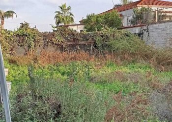 IMG-20250109-WA0048.jpg - Terreno edificabile Via Pistoia, Marcianise - foto 2