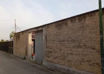 IMG-20250109-WA0051.jpg - Terreno edificabile Via Pistoia, Marcianise - foto 4