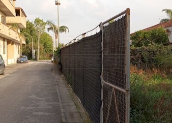 IMG-20250109-WA0052.jpg - Terreno edificabile Via Pistoia, Marcianise - foto 5