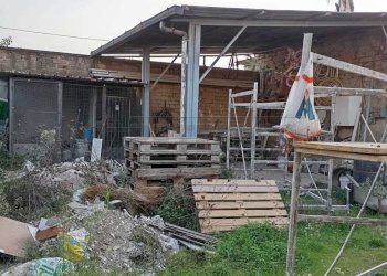 IMG-20250109-WA0053.jpg - Terreno edificabile Via Pistoia, Marcianise - foto 6