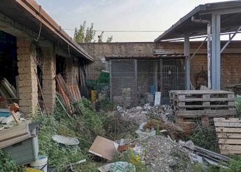 IMG-20250109-WA0054.jpg - Terreno edificabile Via Pistoia, Marcianise - foto 7