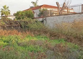 IMG-20250109-WA0055.jpg - Terreno edificabile Via Pistoia, Marcianise - foto 8