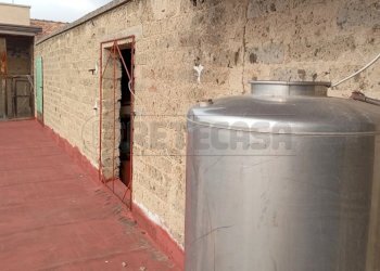 IMG-20241203-WA0016.jpg - Terratetto - Terracielo Via Foggia, Marcianise - foto 19