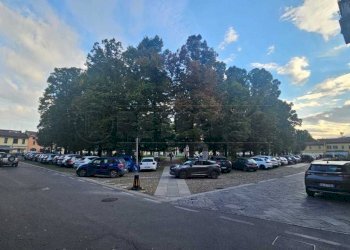 bar codogno  (5).JPG - Cafeteria - Cold Bar Via Giuseppe Mazzini, Codogno - photo 1