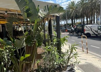 PHOTO-2025-05-13-11-26-00.jpg - Ristorante Corso Roma 20, Loano - foto 4