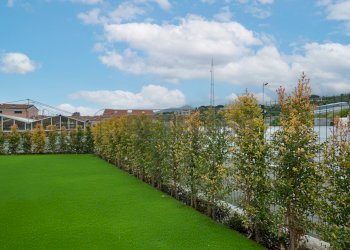 2401195.jpg - Quadrilocale Via Bulasce 45, Loano - foto 2