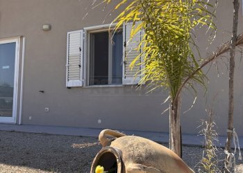 IMG_0393.jpg - Appartamento Via delle tessitrici 1, Sannicola - foto 1