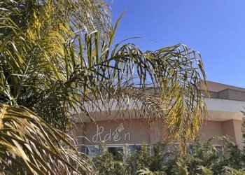 IMG_0362.jpg - Appartamento Via delle tessitrici 1, Sannicola - foto 9