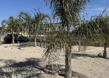 IMG_1329.JPG - Appartamento Via delle tessitrici 1, Sannicola - foto 25