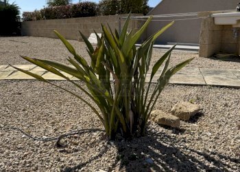 IMG_1336.JPG - Appartamento Via delle tessitrici 1, Sannicola - foto 27