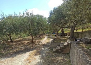 WhatsApp Image 2025-07-31 at 12.12.08.jpeg - Rustico Contrada Sant'Anna 39, Messina - foto 2