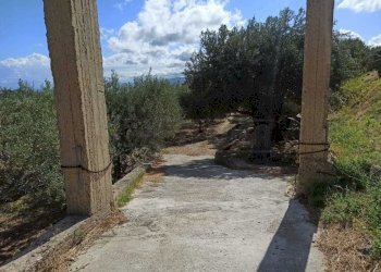 WhatsApp Image 2025-07-31 at 12.12.09.jpeg - Rustico Contrada Sant'Anna 39, Messina - foto 4