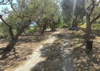 WhatsApp Image 2025-07-31 at 12.12.11.jpeg - Rustico Contrada Sant'Anna 39, Messina - foto 6