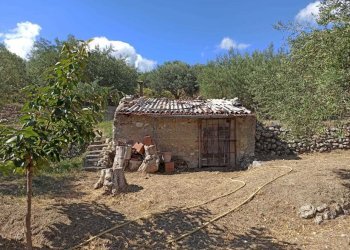 WhatsApp Image 2025-07-31 at 12.12.20 (3).jpeg - Rustico Contrada Sant'Anna 39, Messina - foto 11