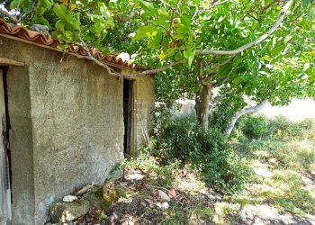 WhatsApp Image 2025-07-31 at 12.12.20 (4).jpeg - Rustico Contrada Sant'Anna 39, Messina - foto 12