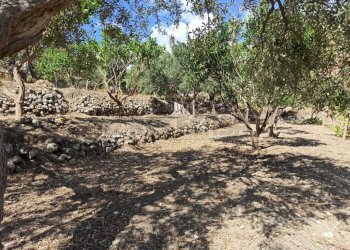 WhatsApp Image 2025-07-31 at 12.12.20 (5).jpeg - Rustico Contrada Sant'Anna 39, Messina - foto 13