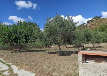 WhatsApp Image 2025-07-31 at 12.12.21 (3).jpeg - Rustico Contrada Sant'Anna 39, Messina - foto 17