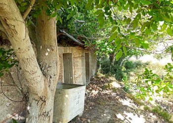 WhatsApp Image 2025-07-31 at 12.12.21.jpeg - Rustico Contrada Sant'Anna 39, Messina - foto 19