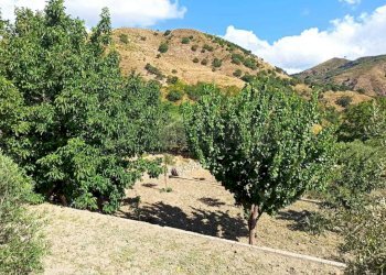 WhatsApp Image 2025-07-31 at 12.12.22 (2).jpeg - Rustico Contrada Sant'Anna 39, Messina - foto 21