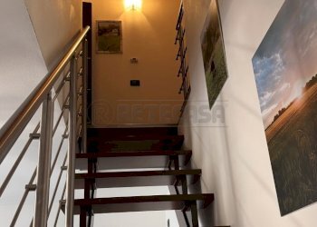 IMG_9167.jpg - Quadrilocale Santa Maria di Sala - foto 14