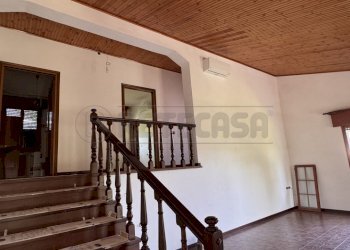 IMG_8599.jpg - Villa Salzano - foto 1