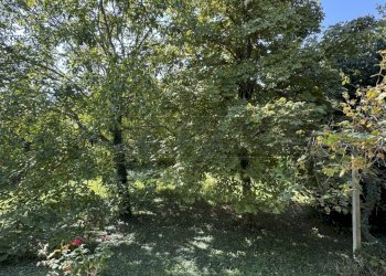 IMG_8603.jpg - Villa Salzano - foto 4