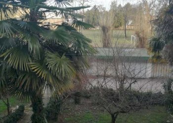 10.jpg - Office Mirano - photo 8