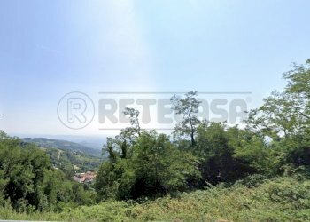 bosco1 - Terreno agricolo Roncà - foto 1