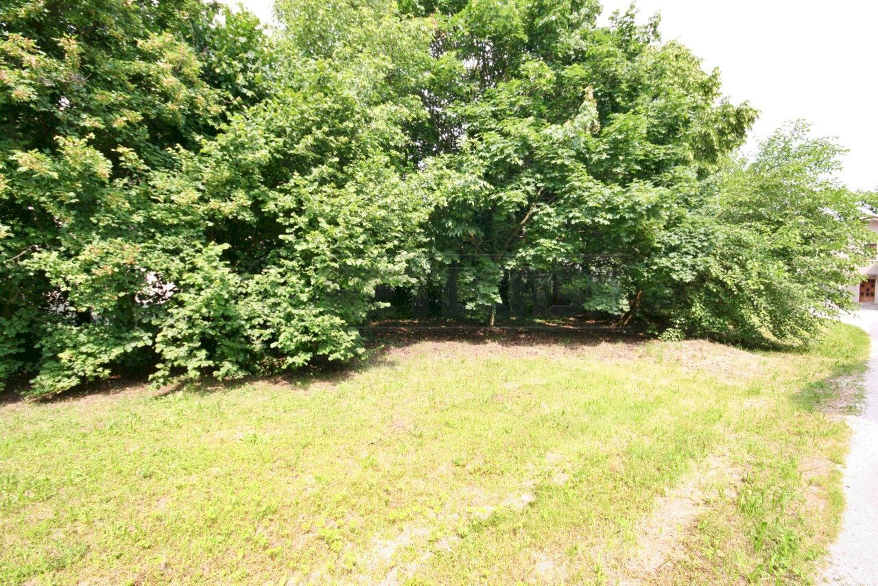 giardino - Villa Chiampo - foto 2