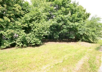 giardino - Villa Chiampo - foto 2