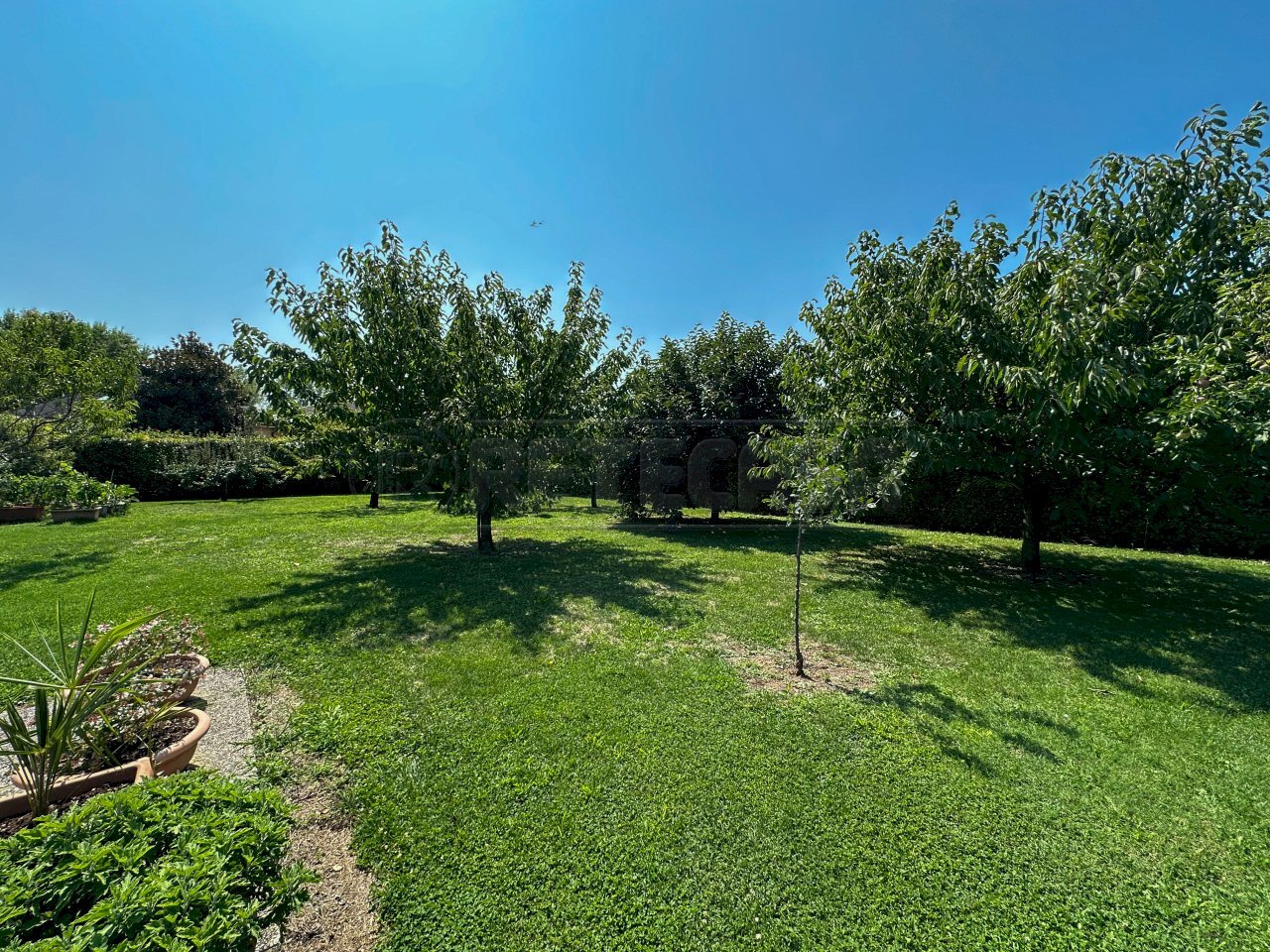 GIARDINO - Villa Via Coevorden 4, Palmanova - photo 3