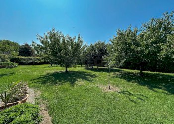 GIARDINO - Villa Via Coevorden 4, Palmanova - foto 3