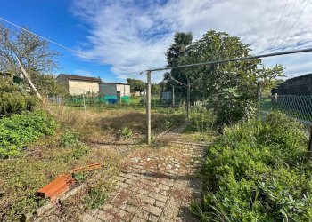 GIARDINO - Trilocale VIA PALMANOVA 19, Santa Maria La Longa - foto 6