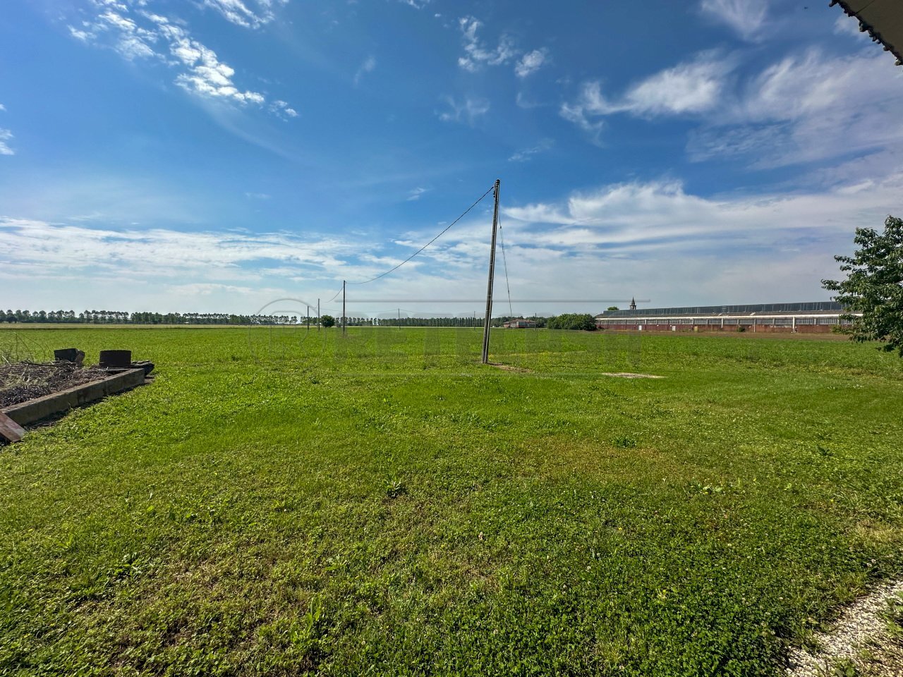 TERRENI - Terreno agricolo Via G. Marconi 10, Pavia di Udine - foto 1