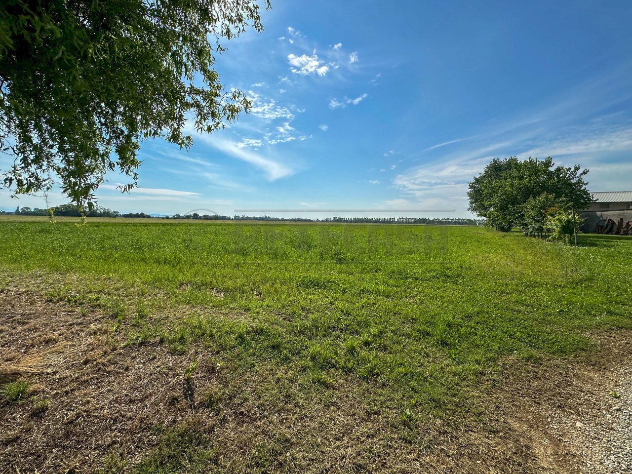 TERRENO - Terreno agricolo Via G. Marconi 10, Pavia di Udine - foto 3