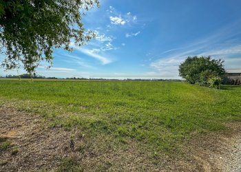 TERRENO - Terreno agricolo Via G. Marconi 10, Pavia di Udine - foto 3